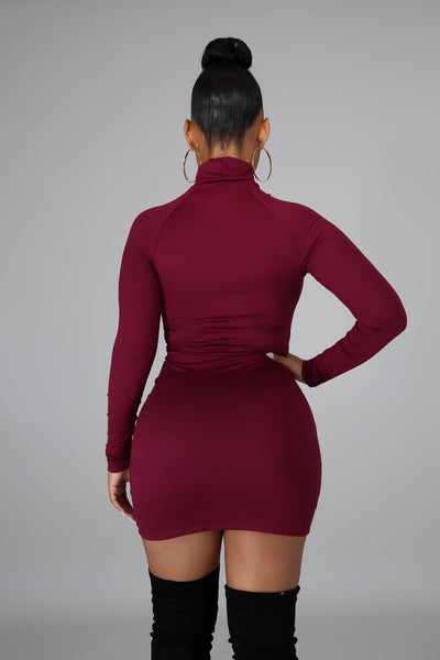 Kris Mini Dress Burgundy